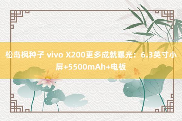 松岛枫种子 vivo X200更多成就曝光：6.3英寸小屏+5500mAh+电板