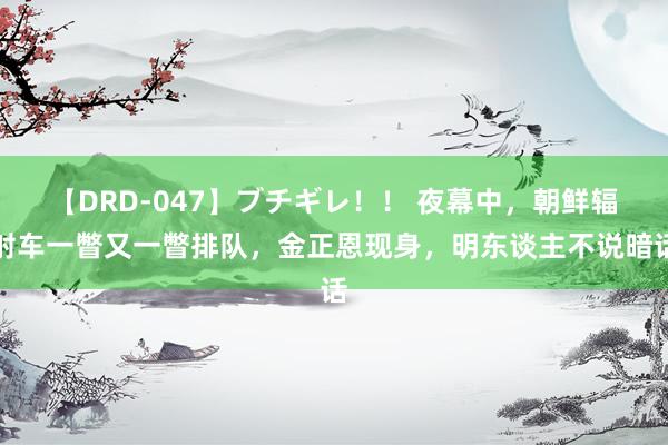 【DRD-047】ブチギレ！！ 夜幕中，朝鲜辐射车一瞥又一瞥排队，金正恩现身，明东谈主不说暗话