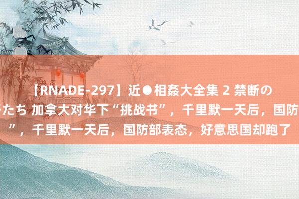 【RNADE-297】近●相姦大全集 2 禁断の性愛に堕ちた義母と息子たち 加拿大对华下“挑战书”，千里默一天后，国防部表态，好意思国却跑了