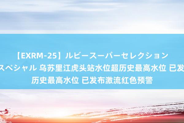 【EXRM-25】ルビースーパーセレクション 巨乳豊満4時間スペシャル 乌苏里江虎头站水位超历史最高水位 已发布激流红色预警