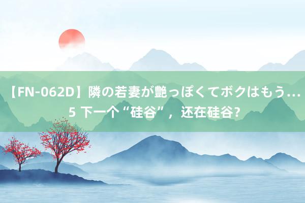 【FN-062D】隣の若妻が艶っぽくてボクはもう… 5 下一个“硅谷”，还在硅谷？