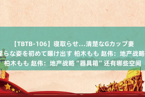 【TBTB-106】寝取らせ…清楚なGカップ妻が背徳感の快楽を知り淫らな姿を初めて曝け出す 柏木もも 赵伟：地产战略“器具箱”还有哪些空间