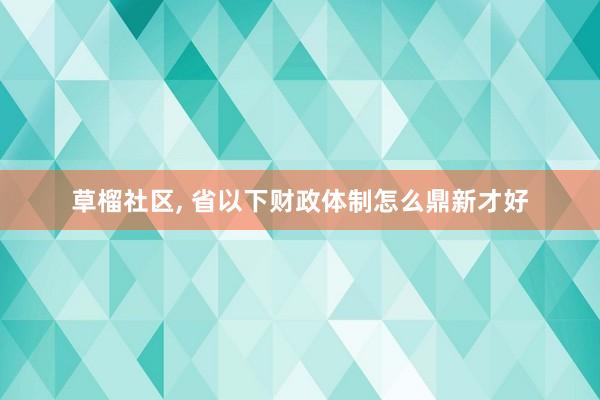 草榴社区, 省以下财政体制怎么鼎新才好