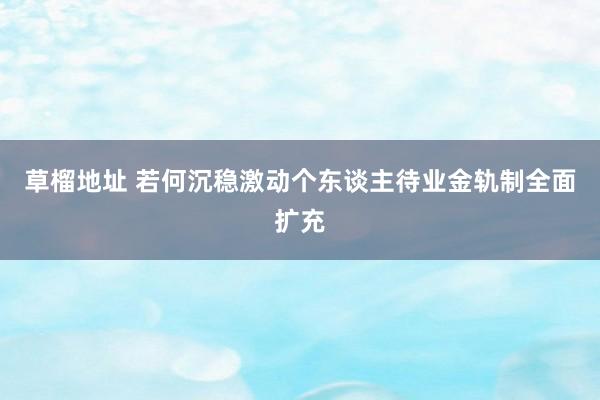 草榴地址 若何沉稳激动个东谈主待业金轨制全面扩充