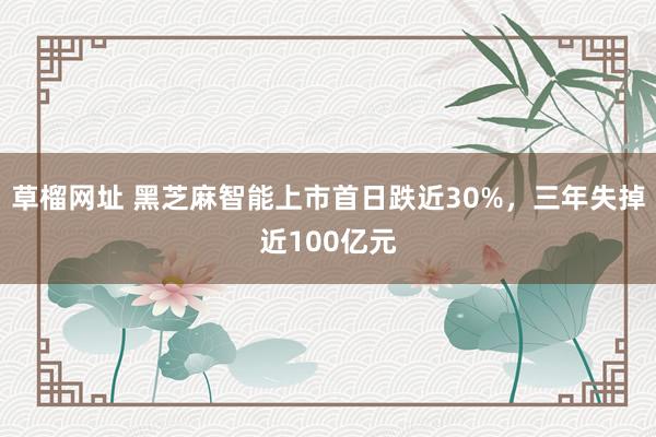 草榴网址 黑芝麻智能上市首日跌近30%，三年失掉近100亿元