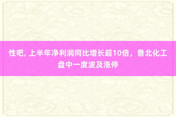 性吧, 上半年净利润同比增长超10倍，鲁北化工盘中一度波及涨停