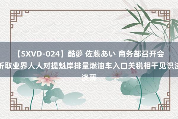 【SXVD-024】酷夢 佐藤あい 商务部召开会议听取业界人人对提魁岸排量燃油车入口关税相干见识淡薄