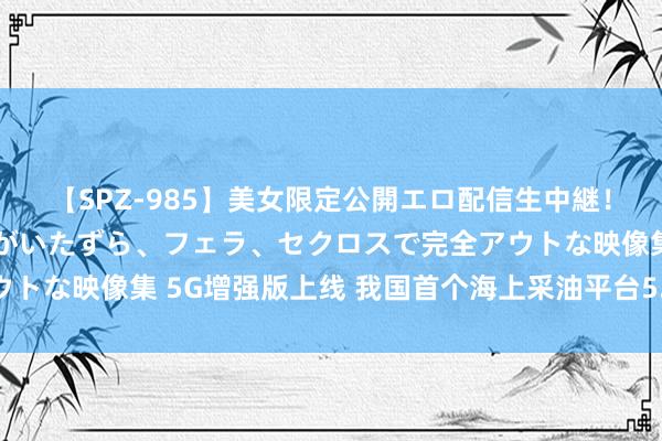 【SPZ-985】美女限定公開エロ配信生中継！素人娘、カップルたちがいたずら、フェラ、セクロスで完全アウトな映像集 5G增强版上线 我国首个海上采油平台5.5G站点通畅