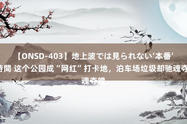 【ONSD-403】地上波では見られない‘本番’4時間 这个公园成“网红”打卡地，泊车场垃圾却驰魂夺魄