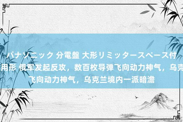 パナソニック 分電盤 大形リミッタースペース付 露出・半埋込両用形 俄军发起反攻，数百枚导弹飞向动力神气，乌克兰境内一派暗澹