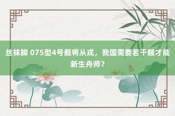 丝袜脚 075型4号舰将从戎，我国需要若干艘才能新生舟师？