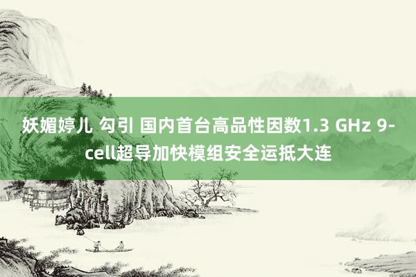 妖媚婷儿 勾引 国内首台高品性因数1.3 GHz 9-cell超导加快模组安全运抵大连