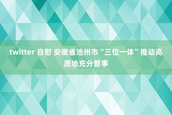 twitter 自慰 安徽省池州市“三位一体”推动高质地充分管事