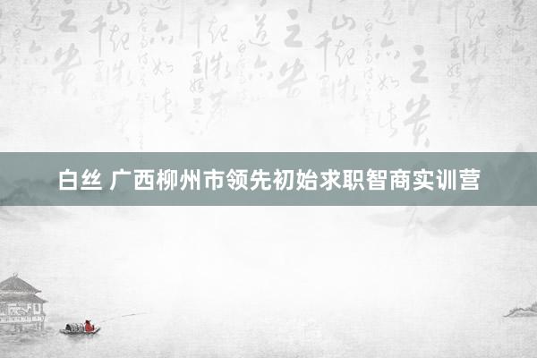 白丝 广西柳州市领先初始求职智商实训营