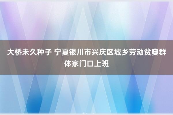 大桥未久种子 宁夏银川市兴庆区城乡劳动贫窭群体家门口上班