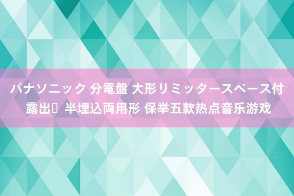 パナソニック 分電盤 大形リミッタースペース付 露出・半埋込両用形 保举五款热点音乐游戏