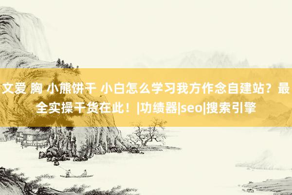 文爱 胸 小熊饼干 小白怎么学习我方作念自建站？最全实操干货在此！|功绩器|seo|搜索引擎