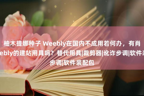 柚木提娜种子 Weebly在国内不成用若何办，有肖似Weebly的建站用具吗？替代用具|裁剪器|讹诈步调|软件装配包