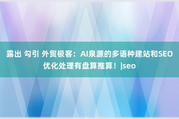 露出 勾引 外贸极客：AI泉源的多语种建站和SEO优化处理有盘算推算！|seo