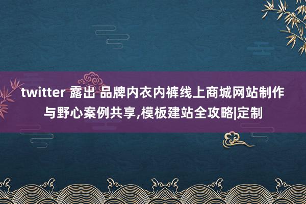 twitter 露出 品牌内衣内裤线上商城网站制作与野心案例共享,模板建站全攻略|定制