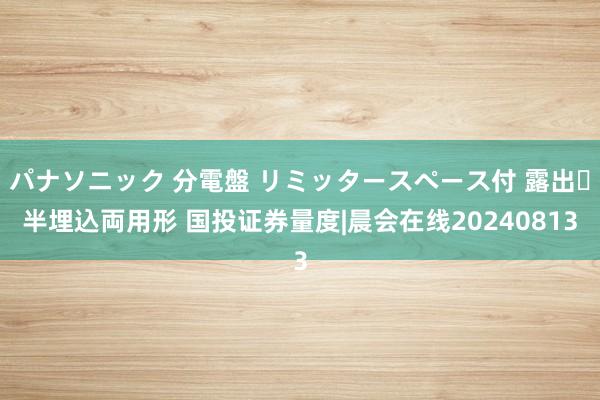 パナソニック 分電盤 リミッタースペース付 露出・半埋込両用形 国投证券量度|晨会在线20240813