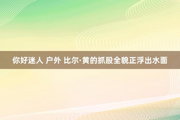 你好迷人 户外 比尔·黄的抓股全貌正浮出水面