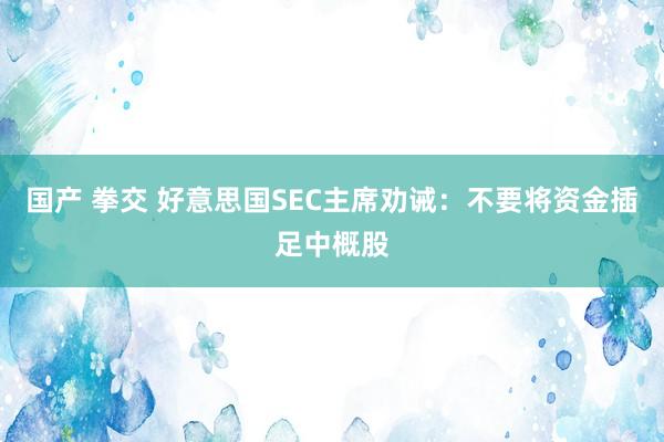 国产 拳交 好意思国SEC主席劝诫：不要将资金插足中概股